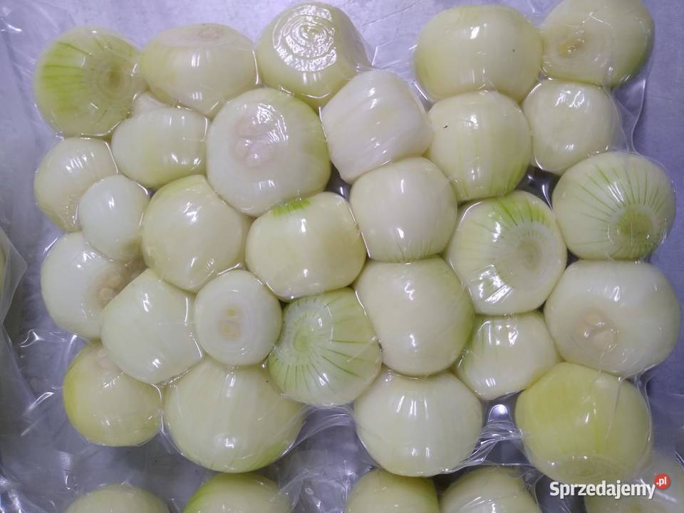 “Soyulmuş Soğan”: Vakumlu Ambalajlanması ve Raf Ömrü